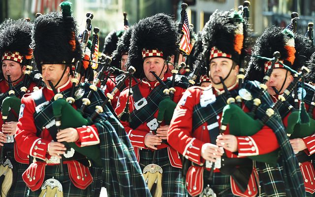 Pipers march in New York St. Patrick's Day parade.