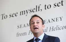 Irish leader Leo Varadkar hopes to be friends with businessman President Trump
