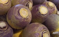 How to deal with an Irish favorite - cutting and peeling a turnip!