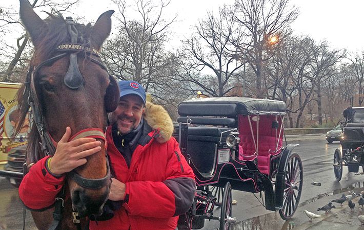 NYC horse carriage showed strength as elite took aim