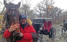NYC horse carriage showed strength as elite took aim