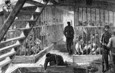 How 250 Irish convicts survived a shipwreck in Australia, in 1791