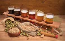 Does this brewery's Lucky Charms lager take things too far? 