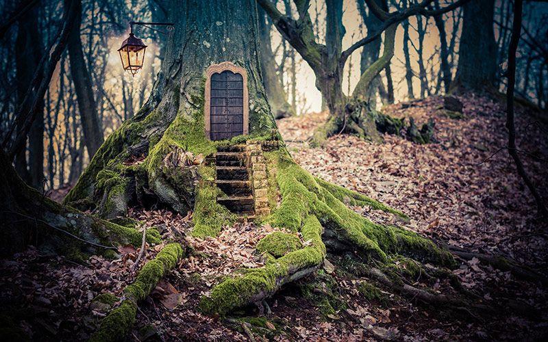 Irish politician blames fairies for poor state of main Killarney road