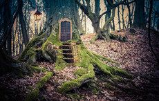 Irish politician blames fairies for poor state of main Killarney road