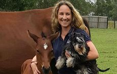 Irish vet failed Australian visa test because computer couldn't understand her accent 