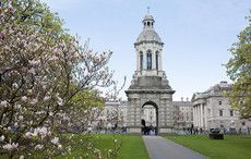 Top five reasons to study for an MBA according to Trinity College experts
