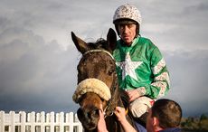 Irish jockey denies punching horse in incident caught on video