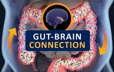 Gut bacteria has major impact on anxiety, depression Irish scientists reveal