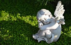 Another babies mass grave suspected in Tuam