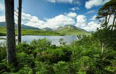 Maine Irish fundraise to bring Ancestry DNA tests to Galway