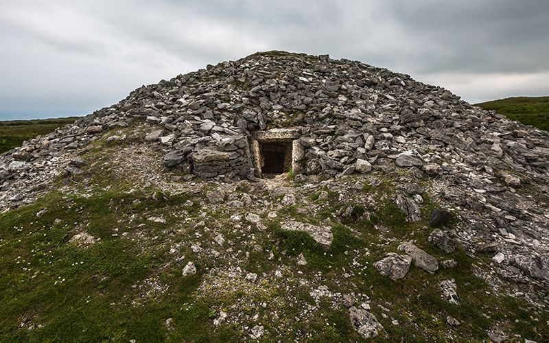 Bones reveal Irish chopped up dead before burying them