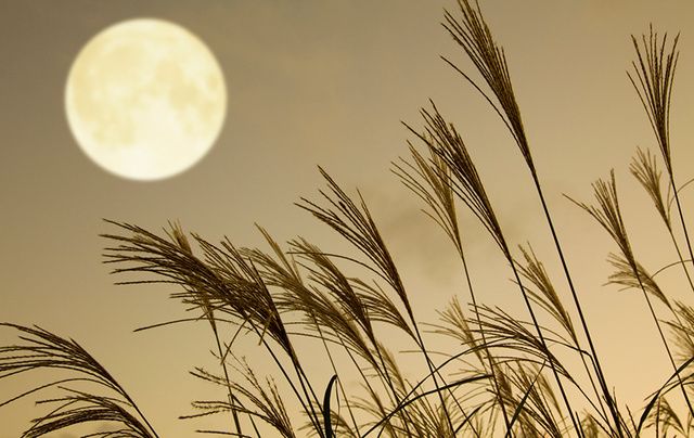 The 2017 Harvest Moon will take place tonight, October 5. 