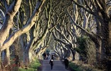 Are Game of Thrones fans destroying the Dark Hedges of Northern Ireland?