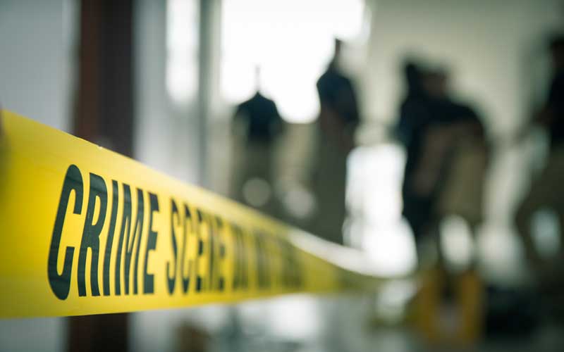 Belfast woman was dead in her bed for two years - family “shocked”