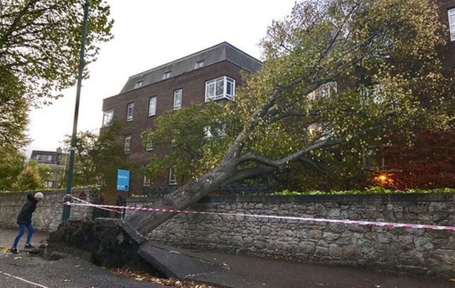 Storm Ophelia hits Dublin as trees fall down on a apartment block on Cylde Road Ballsbridge. 