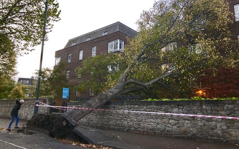 Irish dark humor’s time to shine on “Bank Holiday Ophelia” 