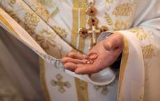 "Lonely" priests should be allowed to marry says Irish parish priest