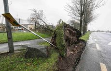 Brian and Ophelia - a tale of two storms