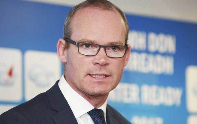 Ireland\'s Foreign Minister Simon Coveney.