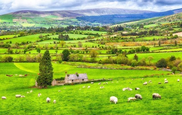 Temple Bar, Dublin city center, Irish countryside - Where would you live in Ireland? 