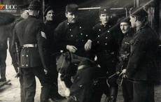 This 964-page book weighs 10 pounds and may be the greatest Irish history ever