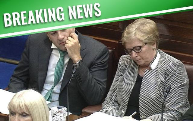 Taoiseach Leo Varadkar and Tanaiste Frances Fitzgerald photographed in the Dail (Irish Parliament).