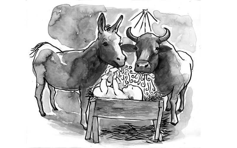 A donkey and ox in Bethlehem who witnessed a very special birth