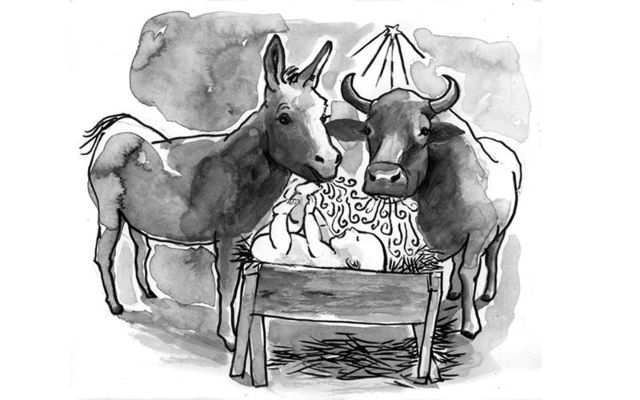 Ruth and Barnabas, a donkey and an ox, witnessed the special birth of Jesus Christ, on Christmas.