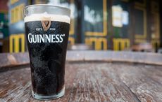 How many calories are there in Guinness?