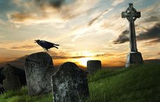 First Irishman was black with blue eyes says genetic expert