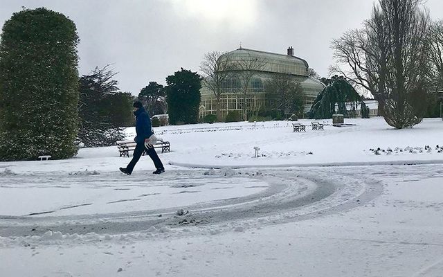 Snow fall at the National Botanic Gardens in Dublin.