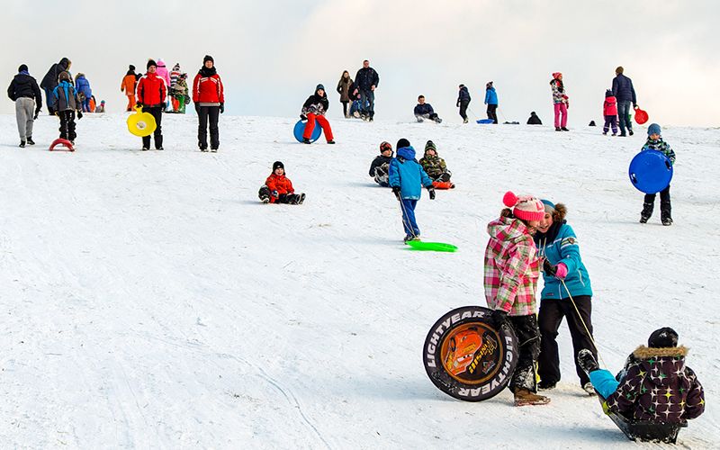 86-year-old great-granny goes sledging in Storm Emma and Ireland goes wild