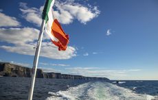 Celebrating the Irish tricolor this National Flag Day