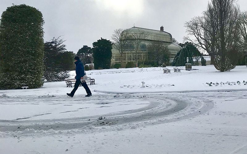 Panic and joking - Ireland faced Storm Emma like a bunch of snowflakes