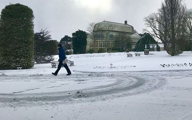 Snow in the Botanic Gardens, in Dublin. 