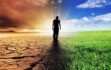 Global warming - Irish scientists devise method for predicting impact on disease