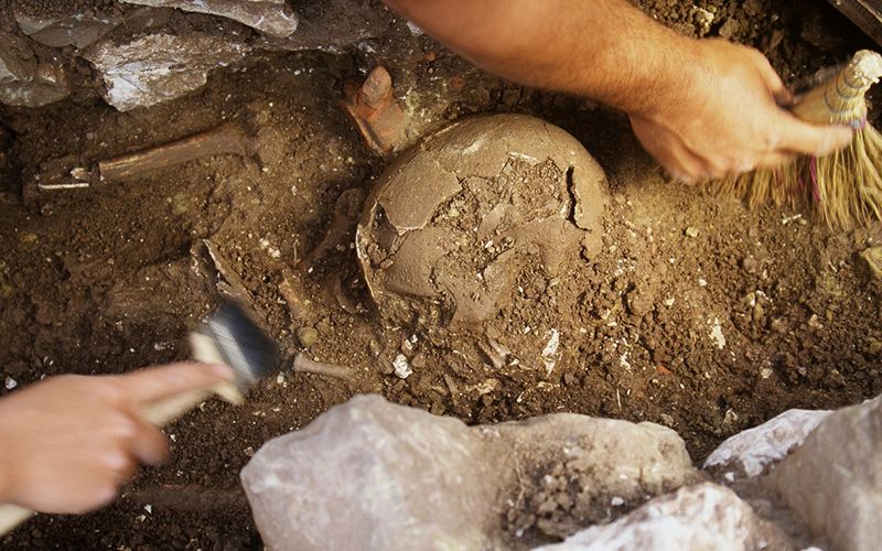 Archaeologists discover potential leprechaun bones on uninhabited Irish island