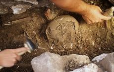 Archaeologists discover potential leprechaun bones on uninhabited Irish island