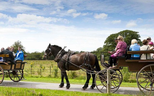 Jaunting cars / jarvey\'s in Killarney, County Kerry.