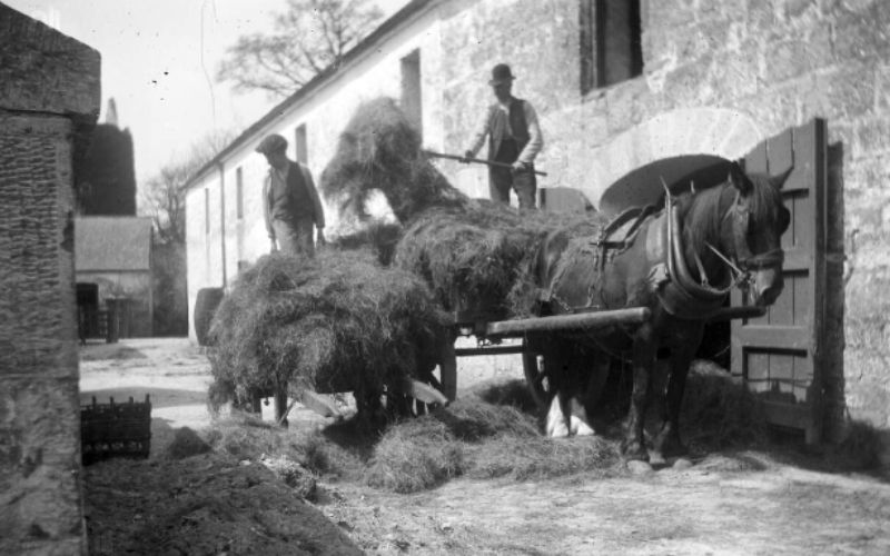 PHOTOS: Farm life images from a “Big House” estate in Ireland in 1900 