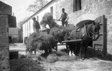 PHOTOS: Farm life images from a “Big House” estate in Ireland in 1900