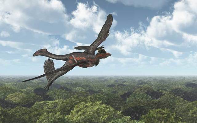 Dinosaur Microraptor.