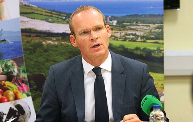 Ireland\'s Minister for Foreign Affairs and Deputy Leader of the government Simon Coveney.