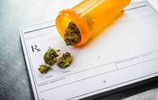 Canada moves ahead with cannabis legislation; Ireland lags behind