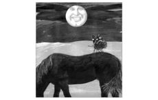 Irish folklore would have it that the butterfly brings beautiful weather