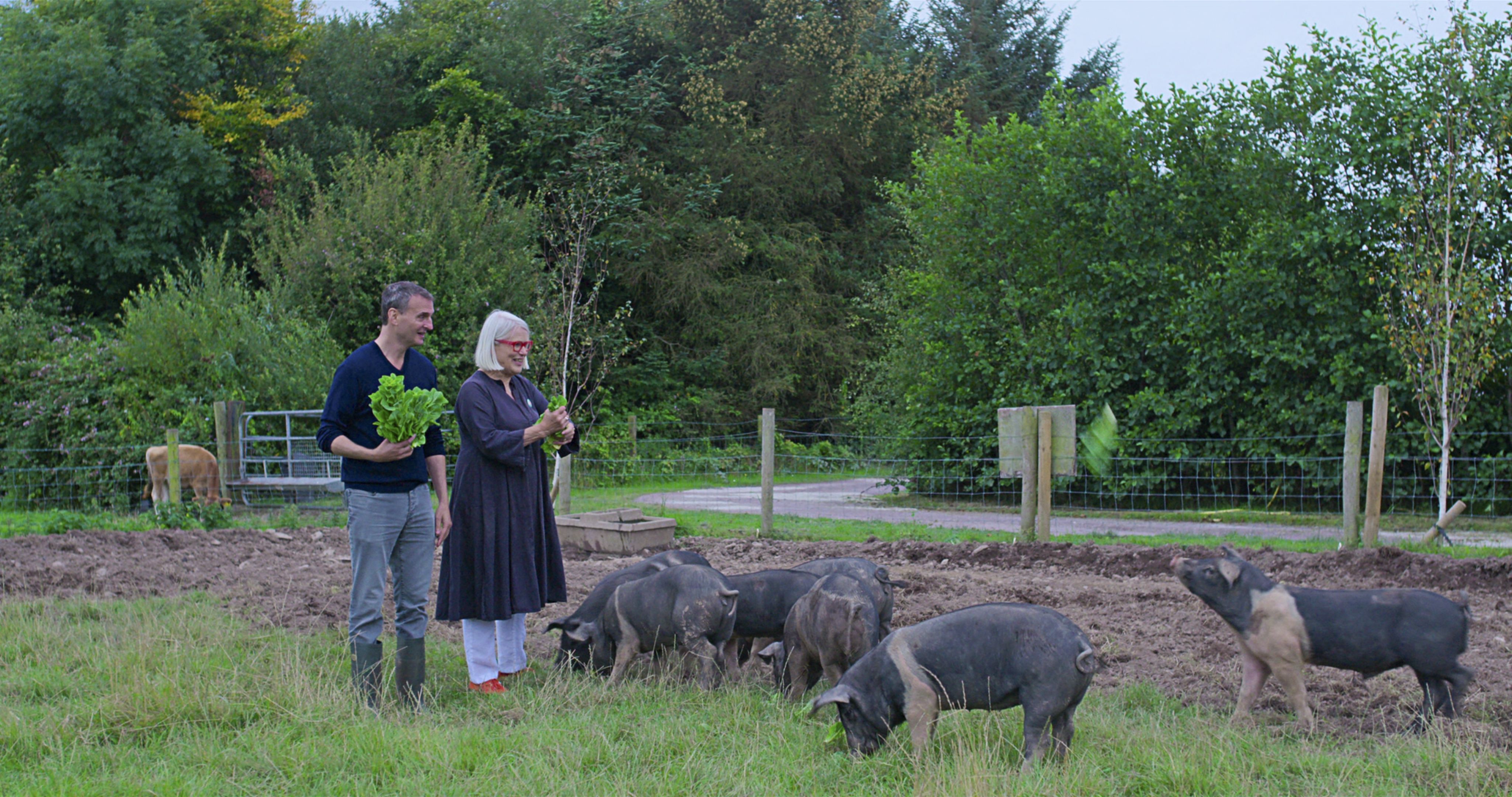 Netflix series Somebody Feed Phil showcases the best of Irish food