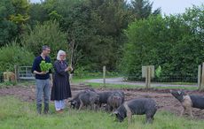 Netflix series Somebody Feed Phil showcases the best of Irish food