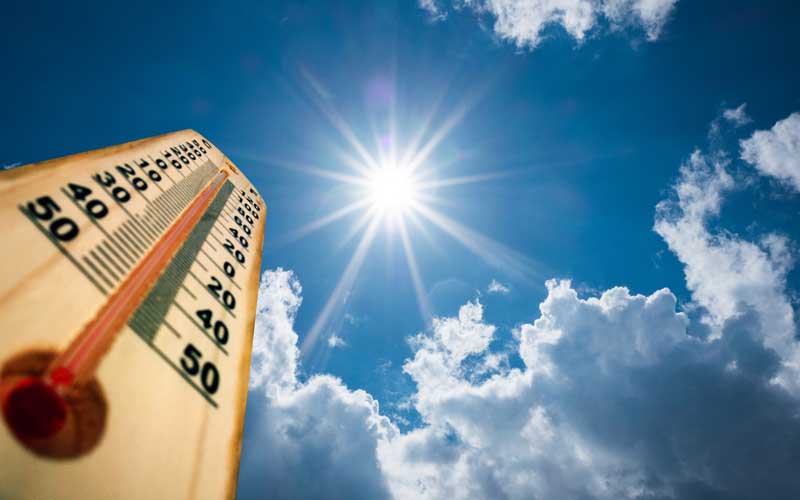 Heatwave warning extended up to two weeks in Ireland as water shortage critical