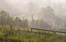 Sweet relief! Will Ireland's heatwave end with Storm Chris?